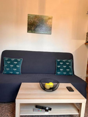 Appartement parisien 10